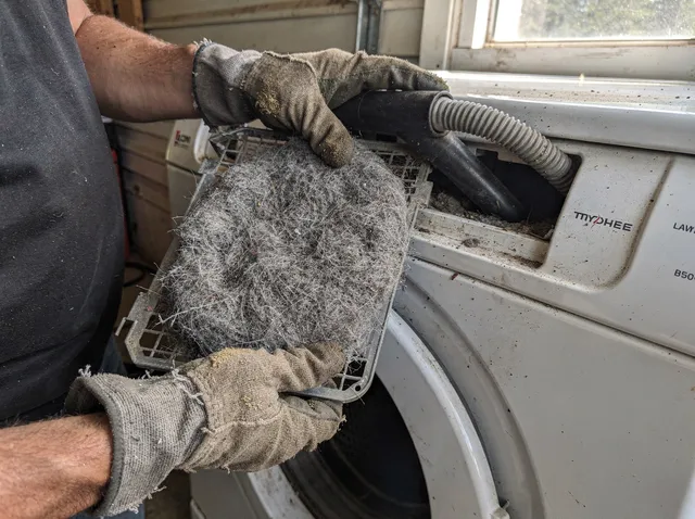 Cleaning Dryer Lint Trap in Home Gardens