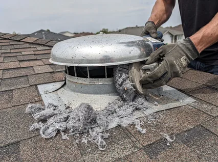 Cleaning Dryer Vent On Roof in Home Gardens